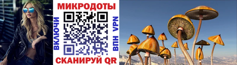 Псилоцибиновые грибы мицелий  Жуков 
