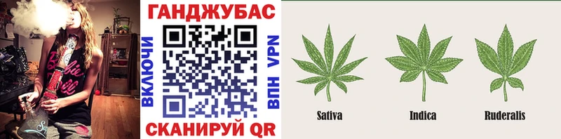 Шишки марихуана планчик  Жуков 